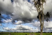 九游亚洲官网-包含葡萄牙赢得对阵法国的较量，实力毋庸置疑的词条